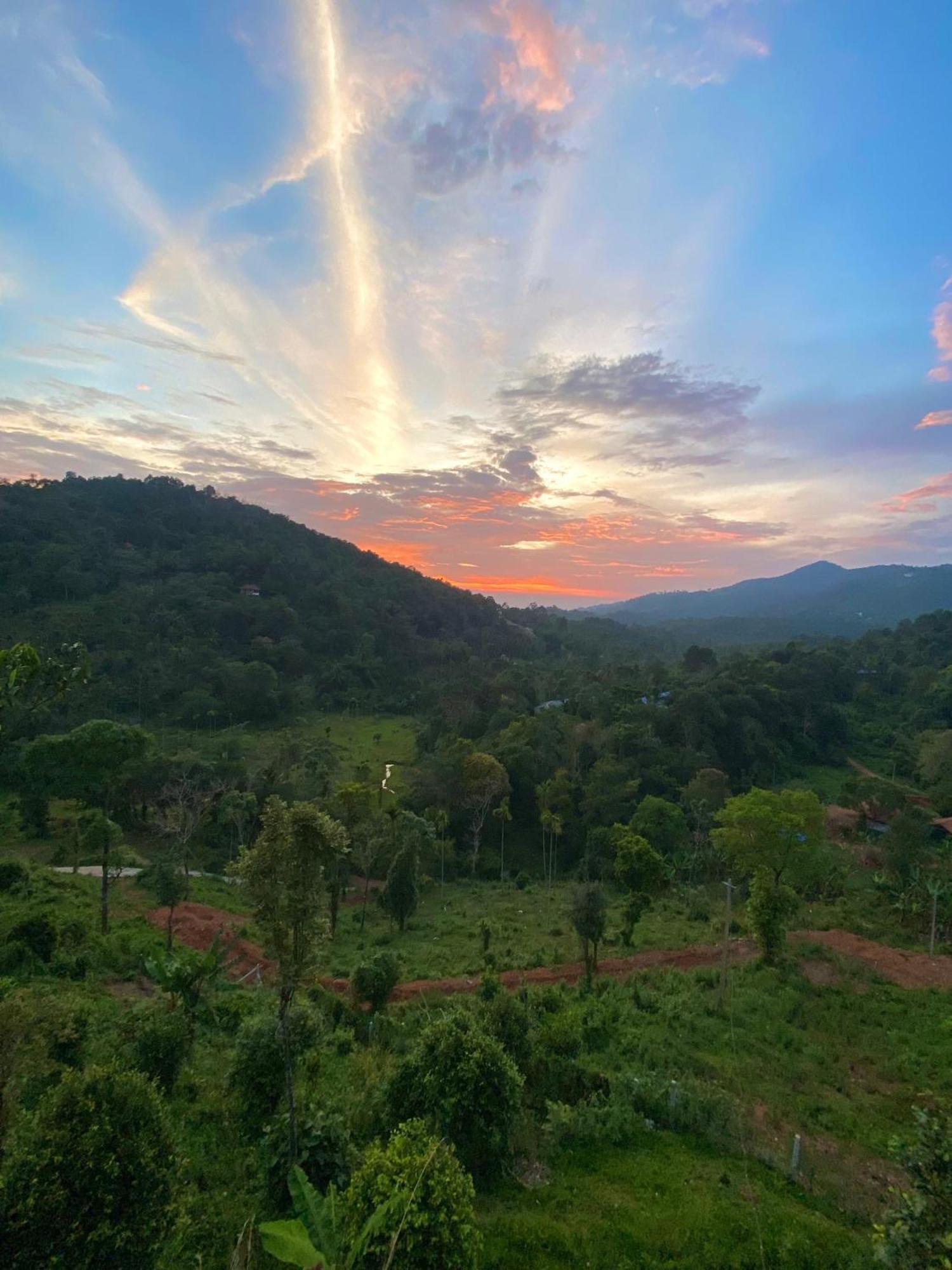 Misty Hideout Bed & Breakfast Kakkadampoyil Exterior foto