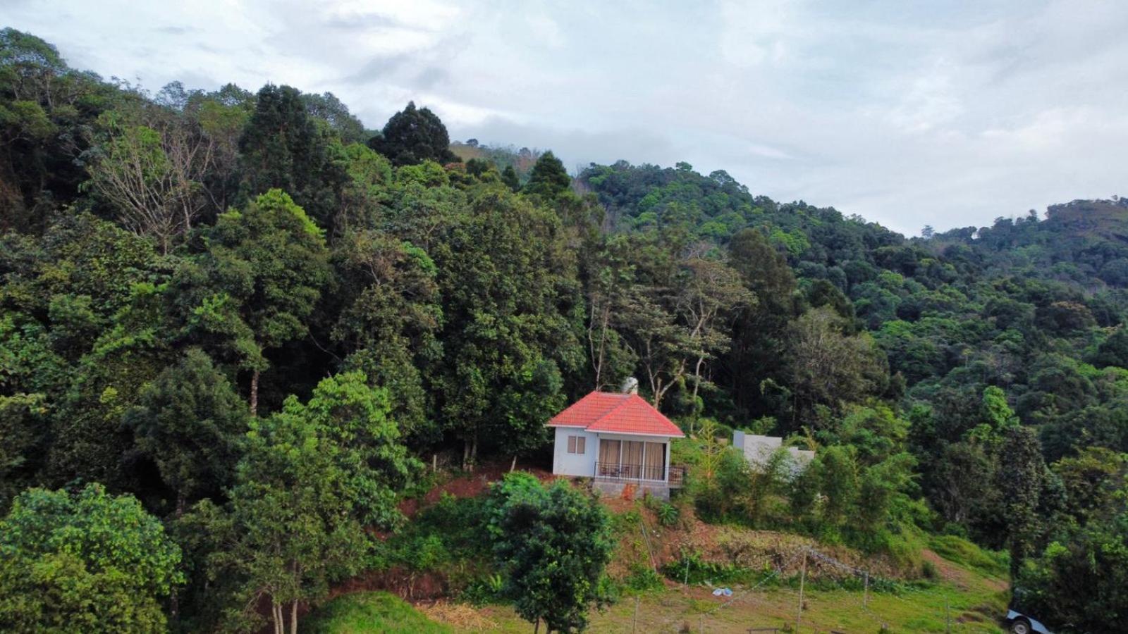 Misty Hideout Bed & Breakfast Kakkadampoyil Exterior foto