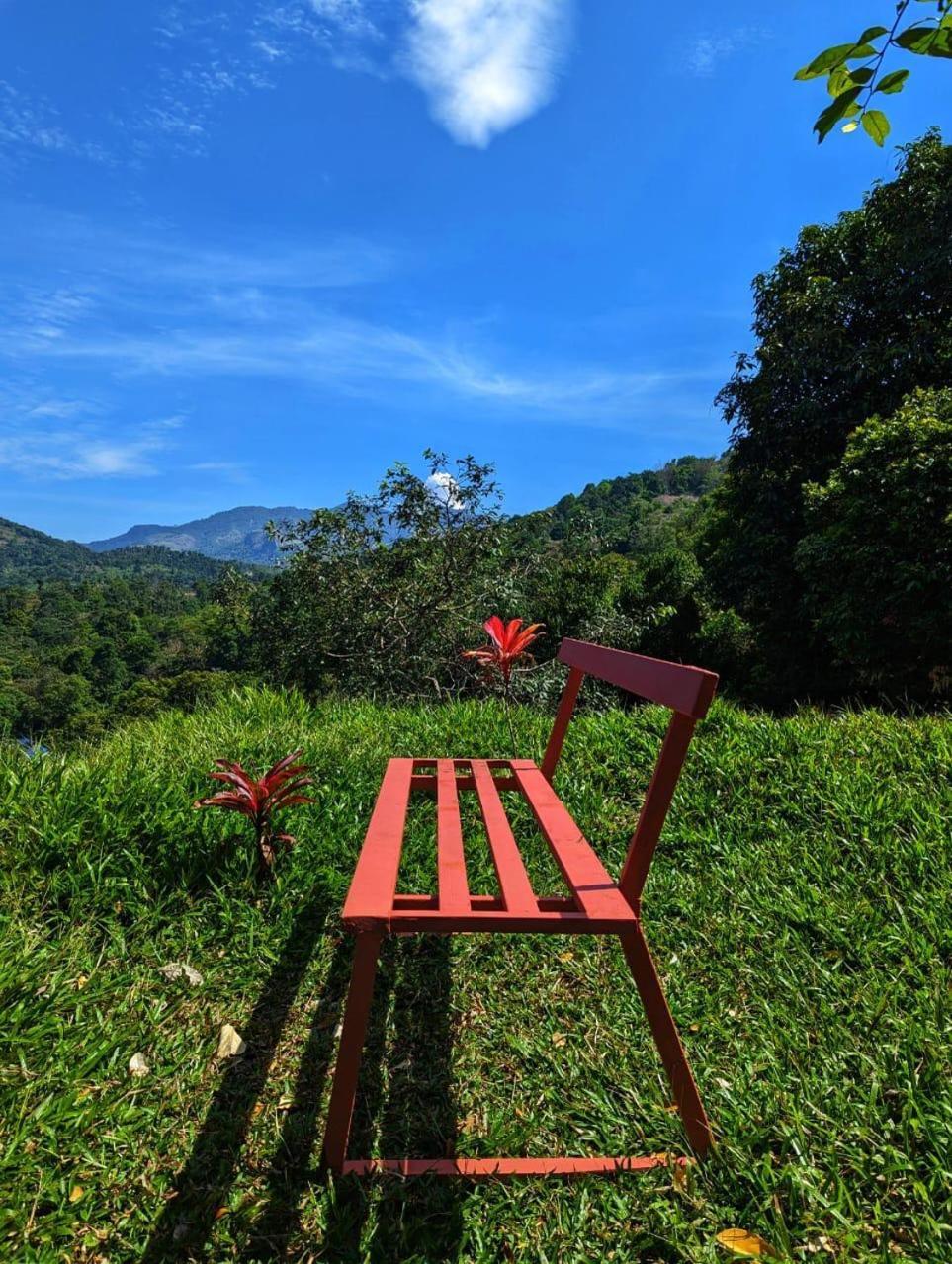 Misty Hideout Bed & Breakfast Kakkadampoyil Exterior foto